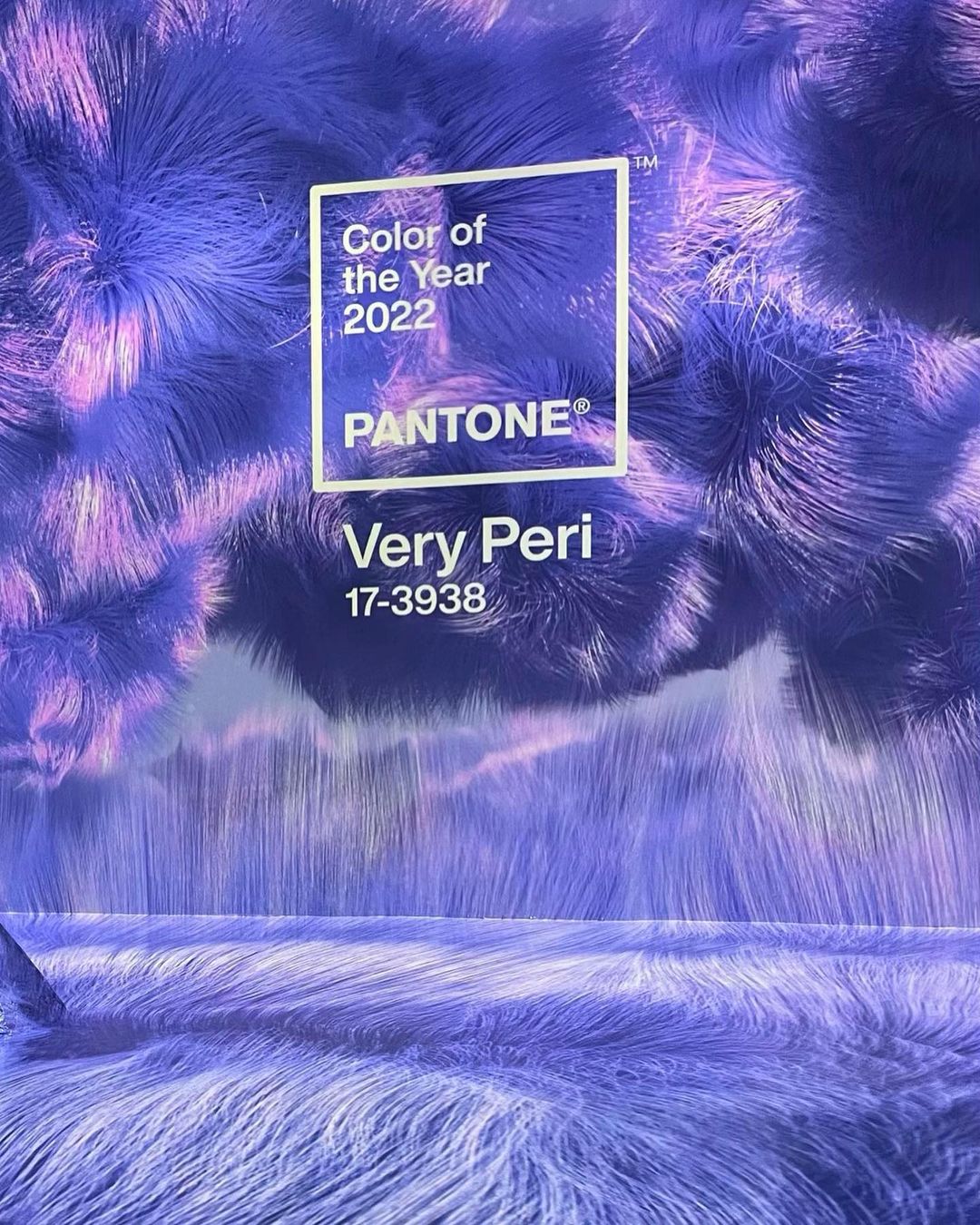 Pantone Color of the Year 2022 Very Peri Bangstyle House of Hair