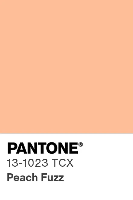 Pantone Color of the Year 2024 – Peach Fuzz