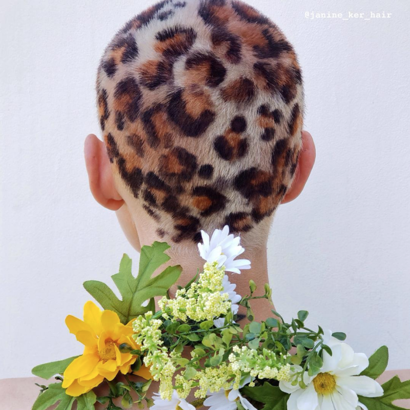 café pubertad Mm Animal Print Hair Color - Janine Ker - Bangstyle - House of Hair Inspiration