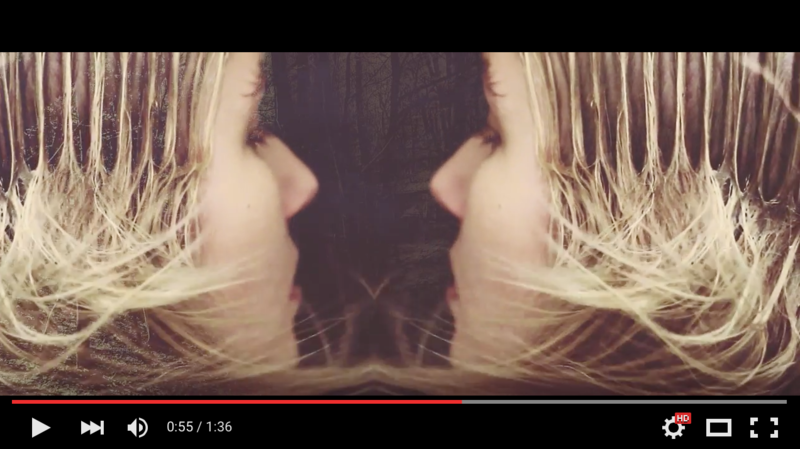 Photo of a clickable video to view a hair artists work