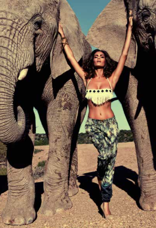 photo of a model in front of an elephant