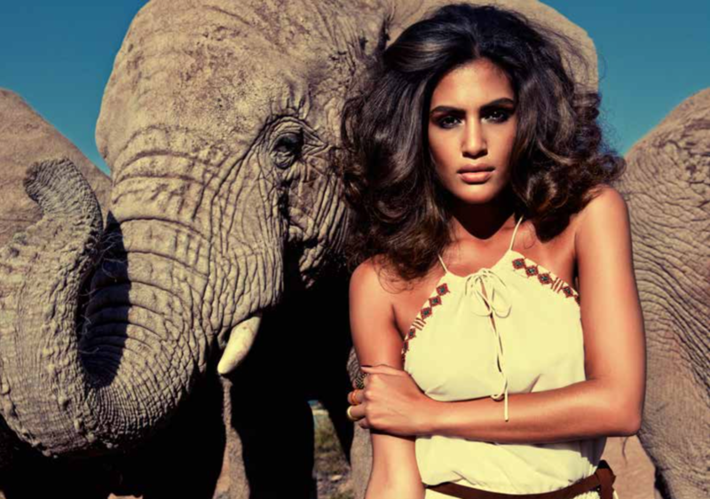 photo of a model in front of an elephant