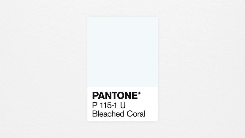 off white pantone color