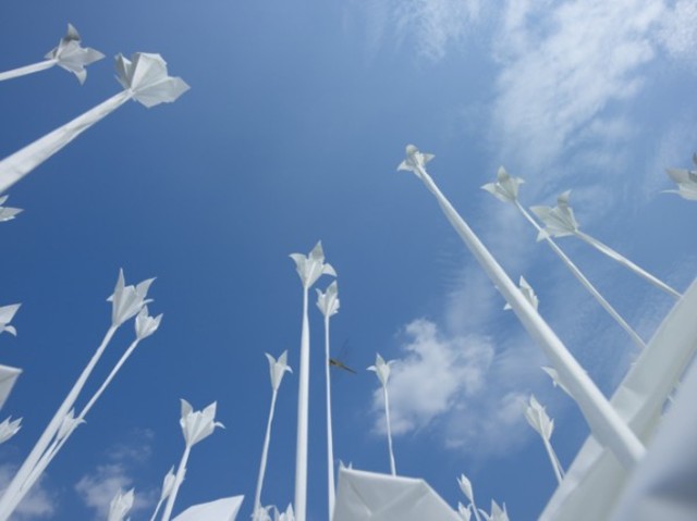 anoukvogelfoldingforpeace-8-600x449
