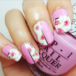 Re sized 06101870f6a0871c3d7c img 20170109 061315 548