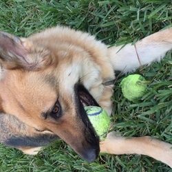 Re sized 098056998a3d21dca7e5 img 1360