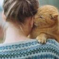 Re sized 0df3115dc62038ba3cca9582b1570eef 55212 ava