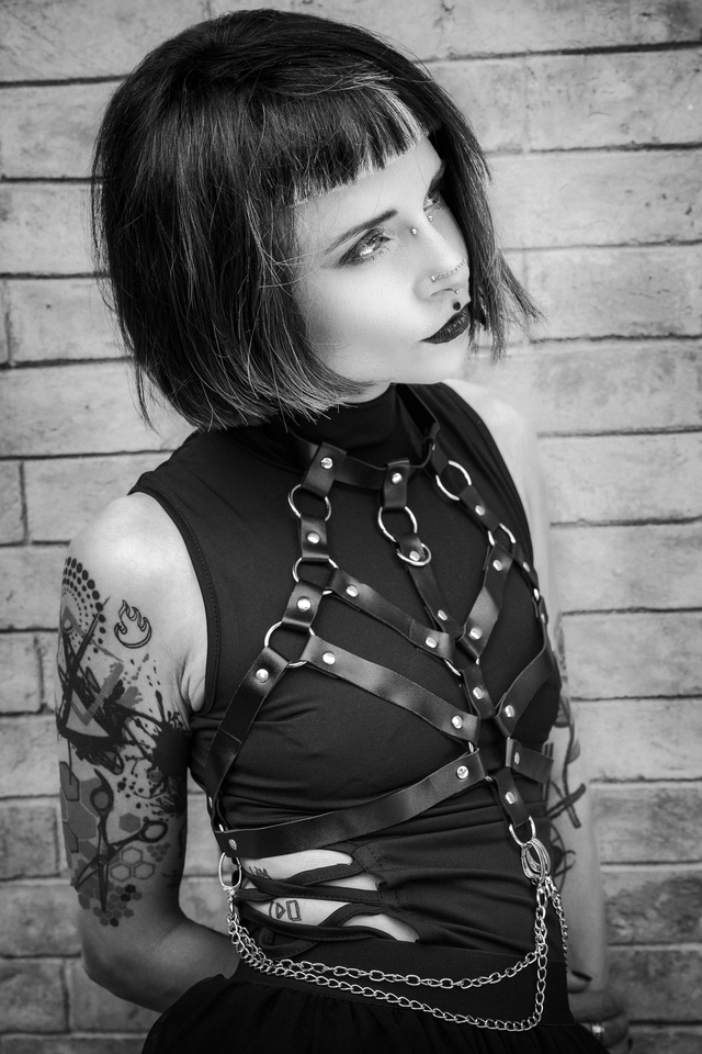 Gothic Punk Collection