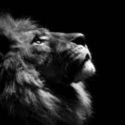 Re sized 11232689c562868afcec718aee67b1b9 74285 ava