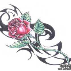 Re sized 13447e59dcb6f70accb1 1 121202163f3m3