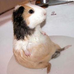 Re sized 144441ce87ad8d4d19e4 980x