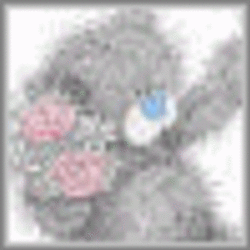 Re sized 1b7e9887e63f4e59a155 94