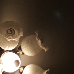 Re sized 1d15bdccf220e1fdfd21 1463815540220 320431937