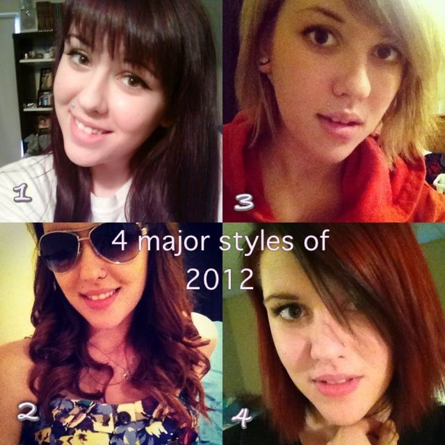2012 Hair Diary