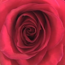 Re sized 201f46090c77c9cb3de6 img 2726