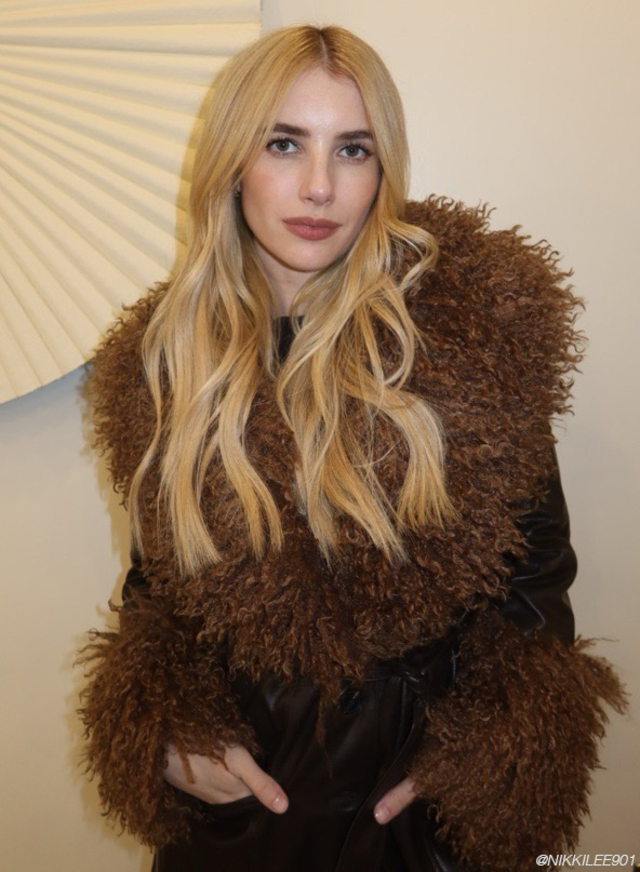 Re sized 24ccd1858375def17592 emma roberts