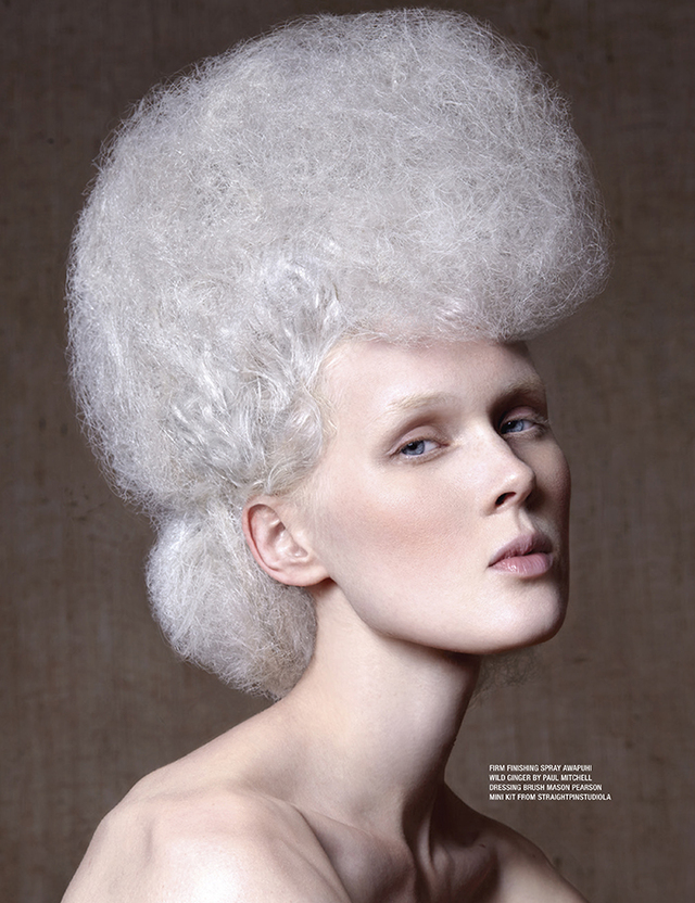 2016 NAHA Editorial Stylist Of The Year Finalist