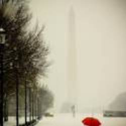 Re sized 2efb45d5cd205f31e16f5ea5afcba67f ava