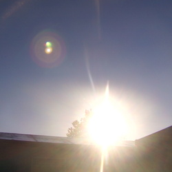 Re sized 328f3ed817c961a94591 imag0793