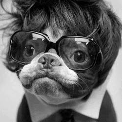 Re sized 3d325f2bba38a956c2b4 1425691 606643116056073 17938260 n