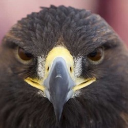 Re sized 3d946cbdd6238dc9d7f6 logo icon me ge