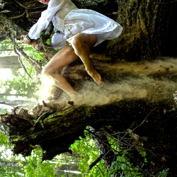 Re sized 4a6eb7614b494bf8c962 img 9807