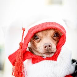 Re sized 4e149758f20982755c1f willyxmas1