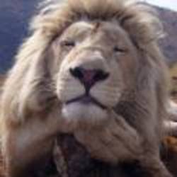 Re sized 52d453724e9cdf6331032c82f5a2db35 80779 ava