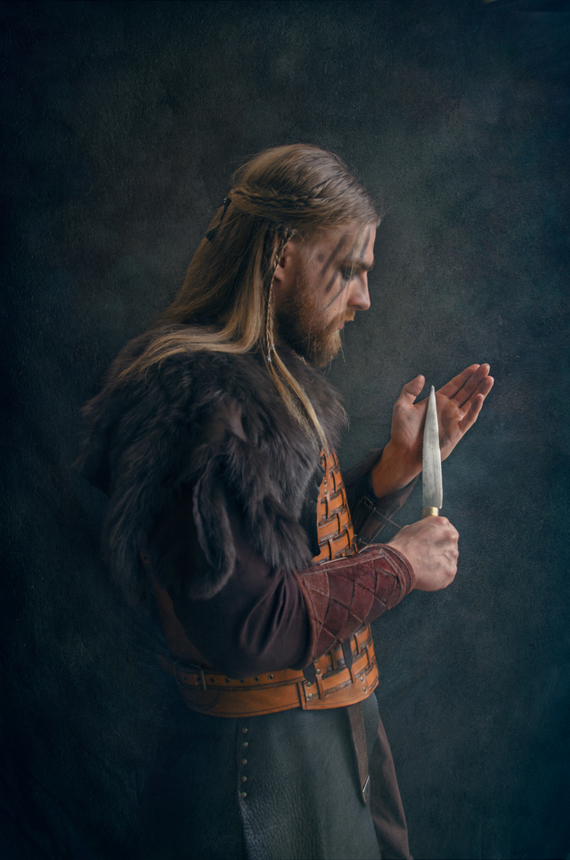 viking hairstyles 