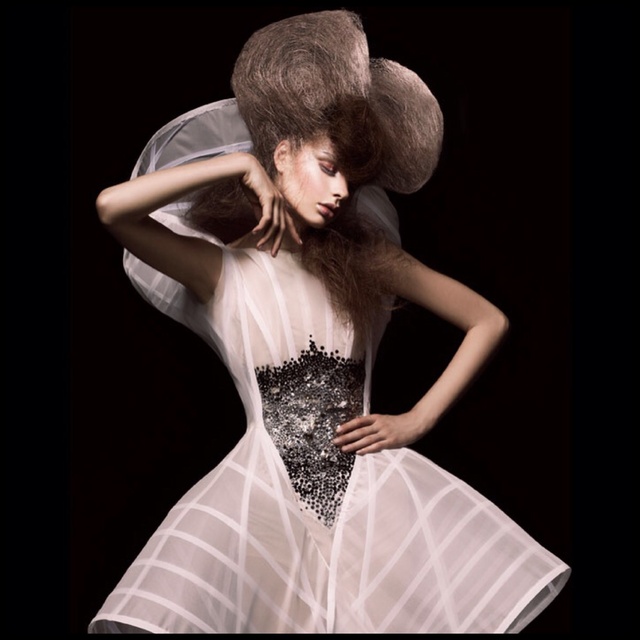 British Avant Garde Hairdresser of the Year Collection 2010/11