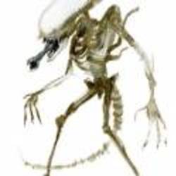 Re sized 5c8396987fb36c470d94a1feda987784 ava