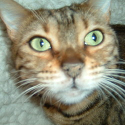 Re sized 61c42d36d74769164089 dscf0015