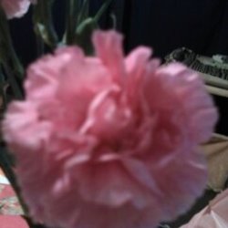 Re sized 68a8ed522a1d3b5f0319 039