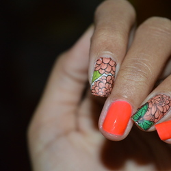 Re sized 68f2b8787fb07fc1aadd dsc 0157