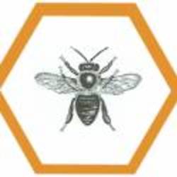 Re sized 6da390d8180a3509a1fccef312693183 61808 ava