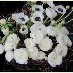 Re sized 76cbf8a2dad2f02da438 190123 421593231209957 1272230831 n