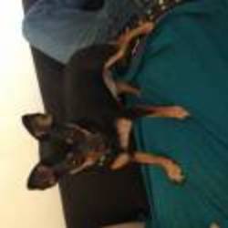 Re sized 78805a221a988e79ef3f42d7c5bfd418 46288 ava