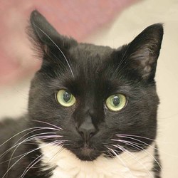 Re sized 7a7c169f46ad991ed498 v  eff7