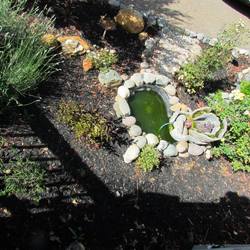 Re sized 7fbd95396f36541d165a yellow rose