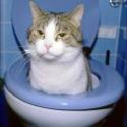 Re sized 8197569ba54c484a059dbd3170d17b8b 56705 ava