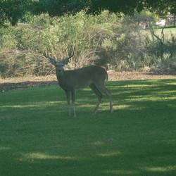 Re sized 83184777b5645231ff4a 008