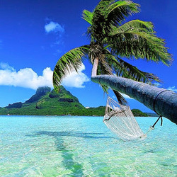 Re sized 8435f7c67d2187ee7a1c paradis