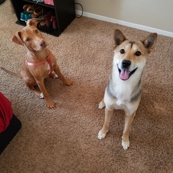 Re sized 85a63f2c4a68cbb14fec 20160726 130321