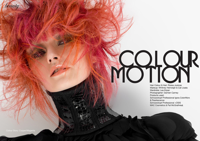 2017 NAHA Editorial Stylist of the Year Finalist 