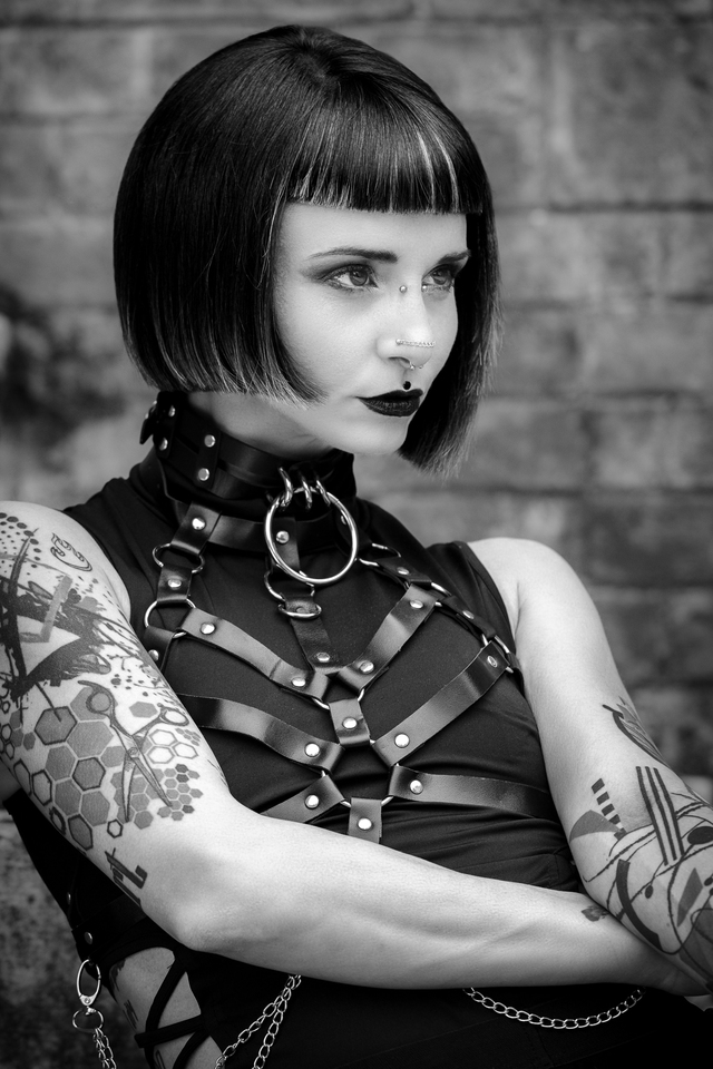 GOTHIC PUNK Collection