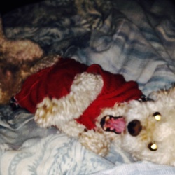 Re sized 92b5ac869a08d166322b img 0011 12.23.16 pm