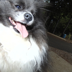 Re sized 93b3a990624236eae61a dsc00338