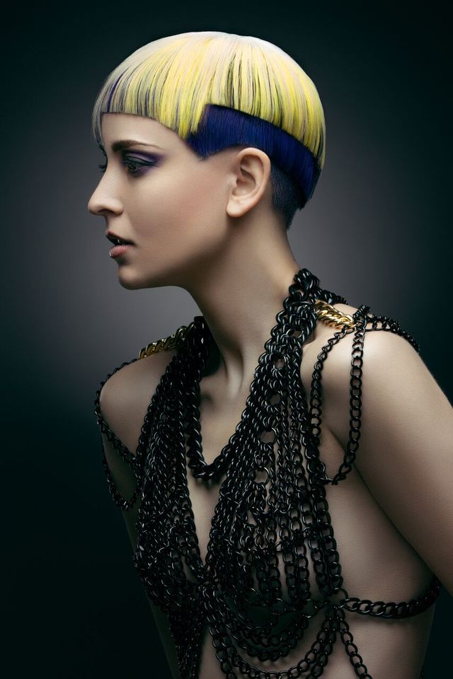 2015 NAHA submission 