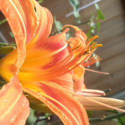 Re sized 94c056ce7d83b59bcb96 june 2014 050