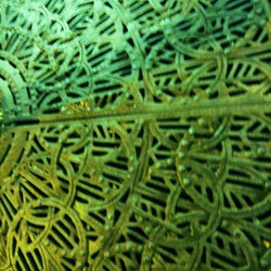 Re sized 95ebb056bcaf3c75f51a headmadtown 098  2 